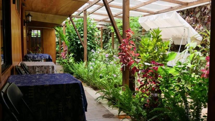 Hostal Vaihere Hanga Roa Esterno foto