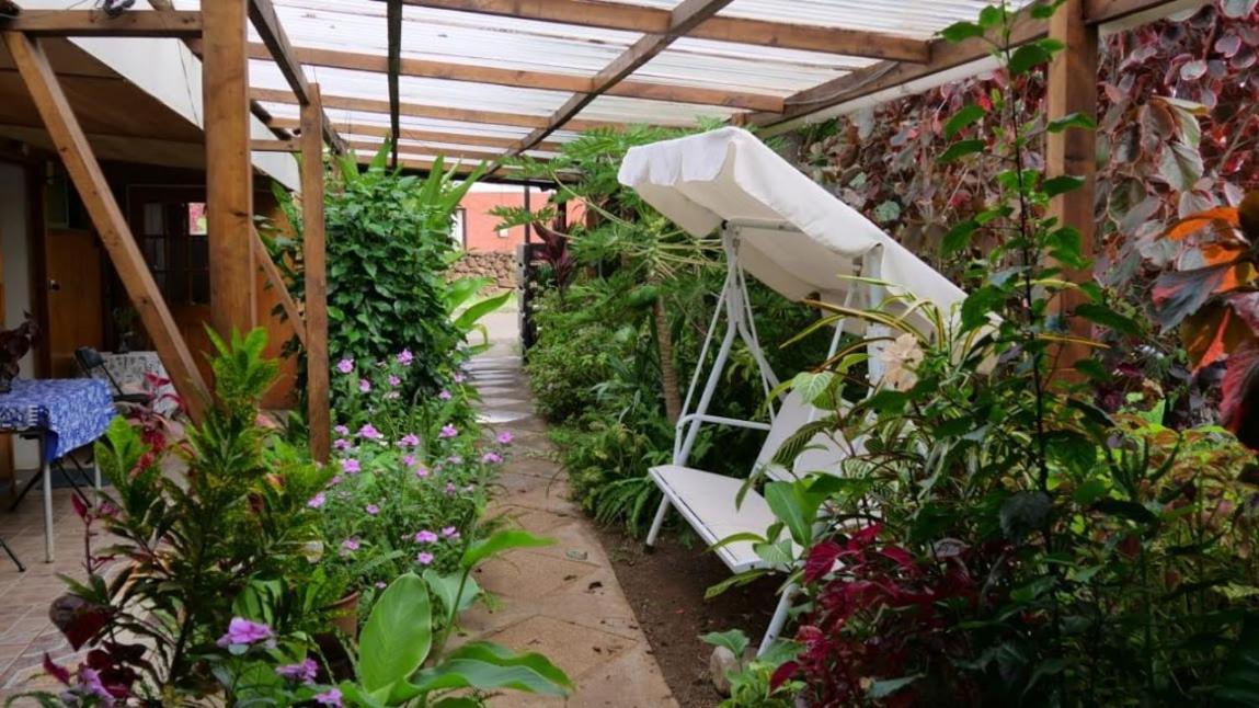 Hostal Vaihere Hanga Roa Esterno foto